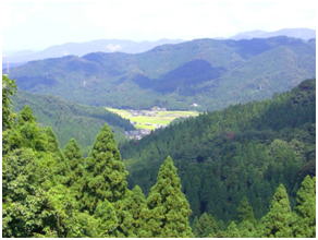 永平寺町産コシヒカリ